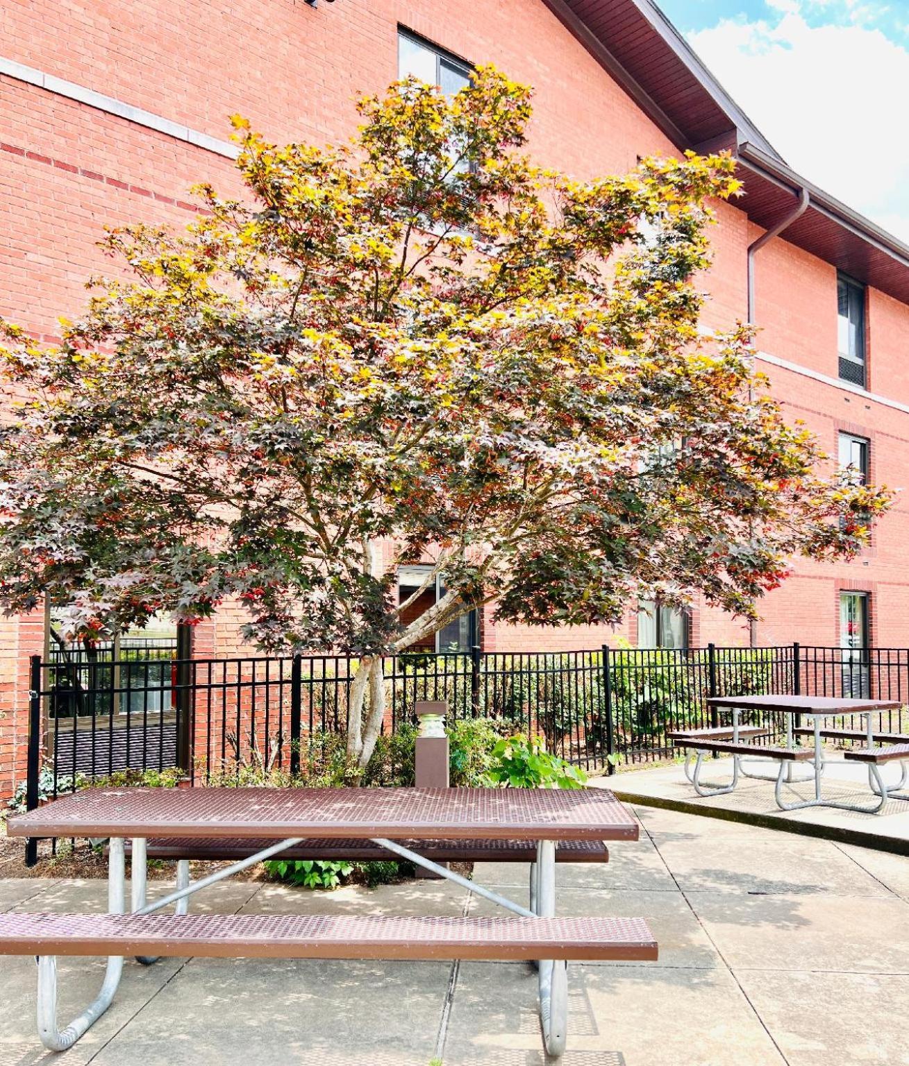 Mainstay Suites Little Rock West Near Medical Centers Bagian luar foto